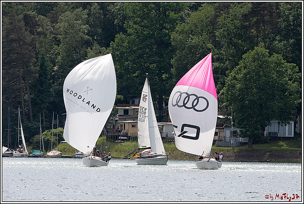 J70 - WOODLAND, 12.06.2021 Segelboot; Segeln; Woodland; Spinnaker; J70; Sorpesee; Sauerland